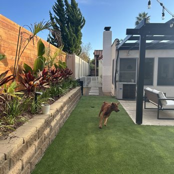Turf & Sons - Turf - Artificial Turf Near Me Turf & Sons - Turf - Artificial Turf Near Me