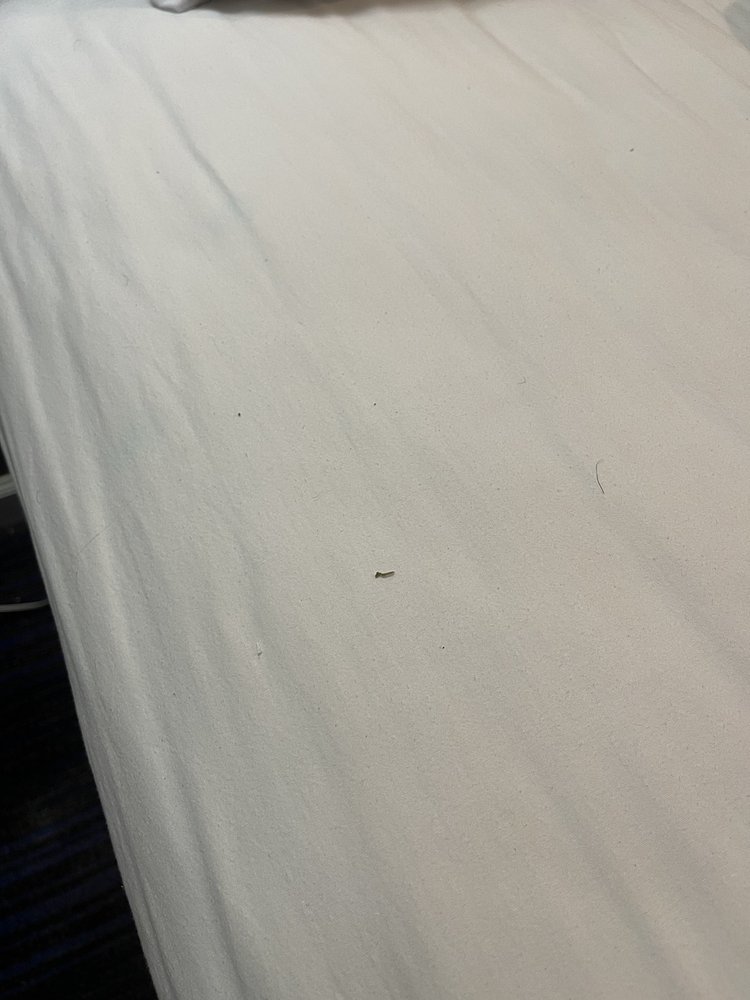 RODEWAY INN LAKE CITY I75 39 Photos 205 SW Commerce Dr, Lake City