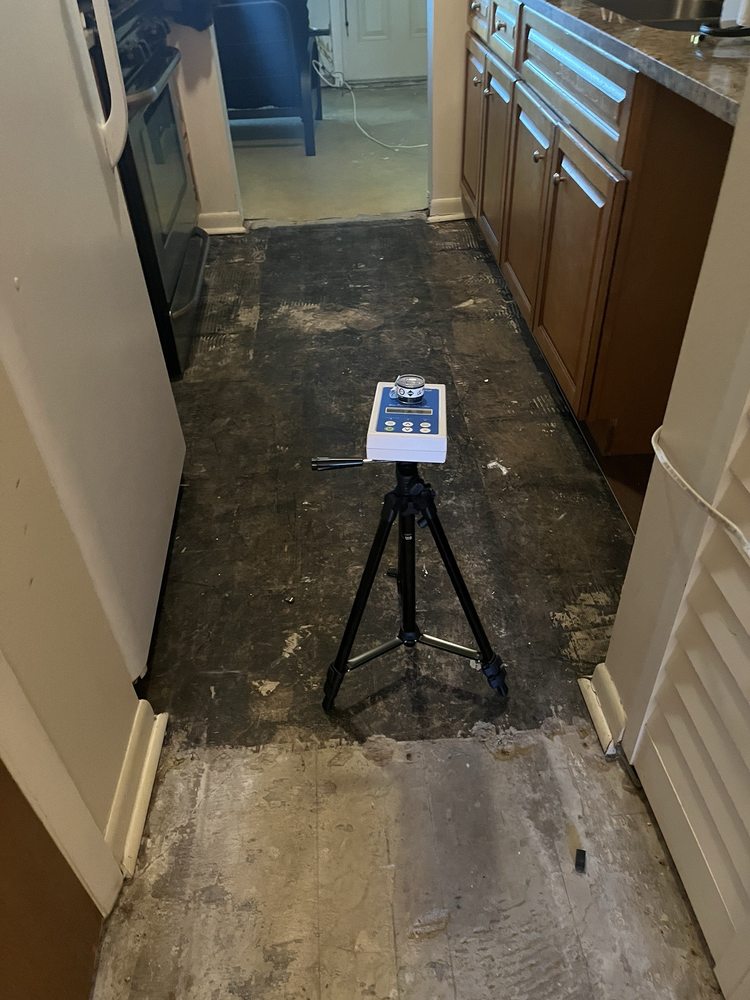 Safehouse Indoor Air Quality - mold inspector in Newport Richey, FL