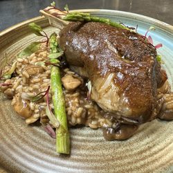 Shabo’s Bistro - Lamb risotto