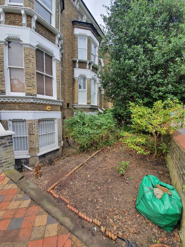 SUCCULENTS HERBS AND NATURE Summerfield, Florida Landscaping