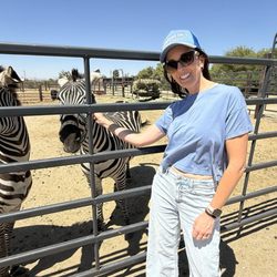 Bougie Cattle Company - Jen the Zebra and her sister Penelope
