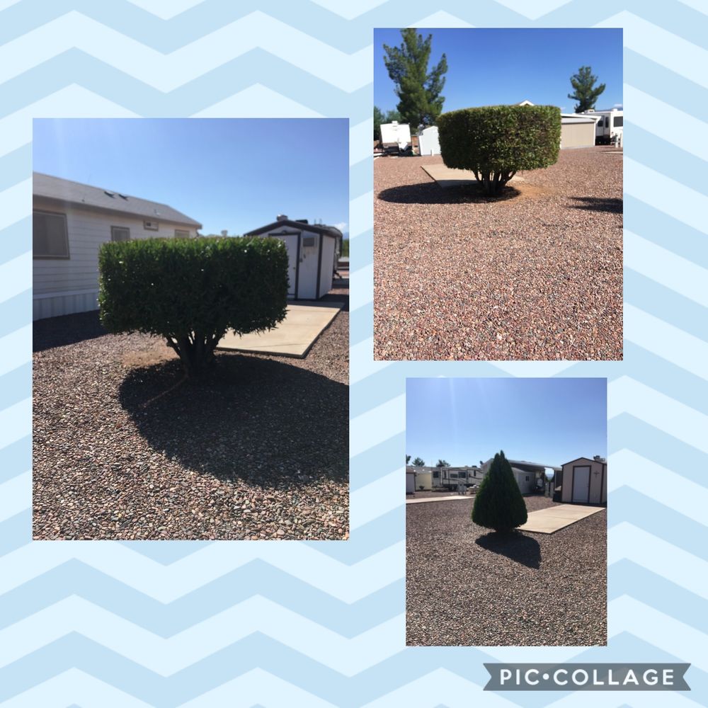 TONTO CREEK TRAIL RV RESORT Updated September 2024 10 Photos 170