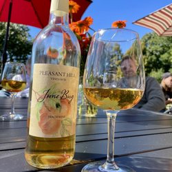 Pleasant Hill Vineyards - June bug