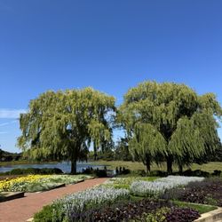 Chicago Botanic Garden - Botanical Gardens