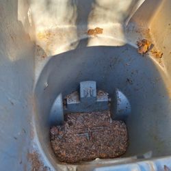 D & R Trash Bins Cleaning Solutions - Trash bin BEFORE PHOTO