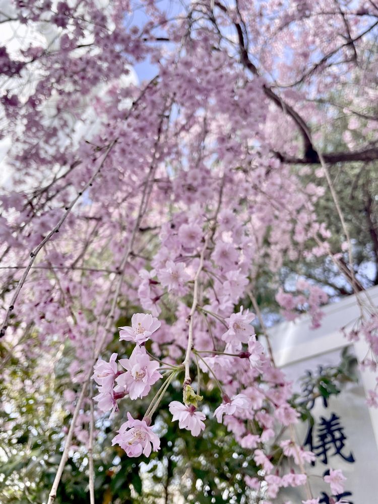 Sendai Daikan'non Daikanmitsuji