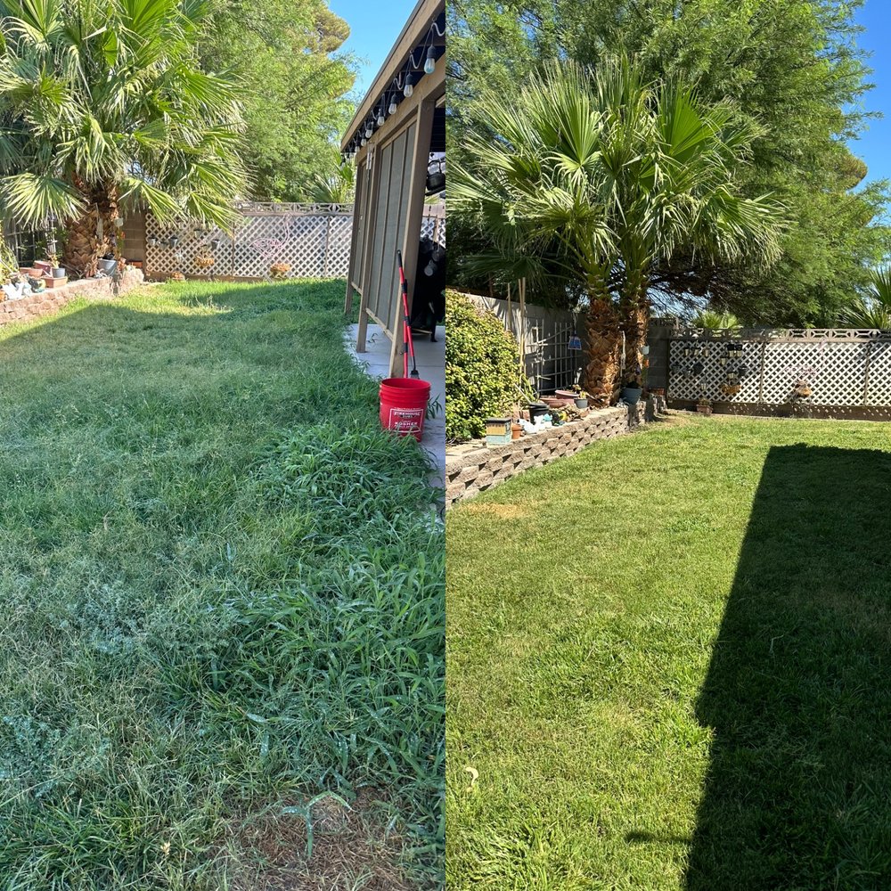  Landscape Kingdom - tree service in North Las Vegas, NV