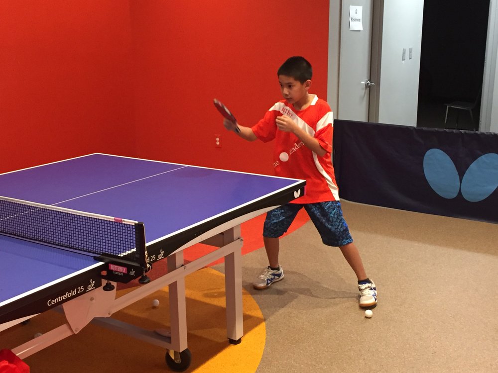 Wang Chen Table Tennis Club