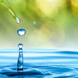 Safe Solutions Carpet Cleaning
