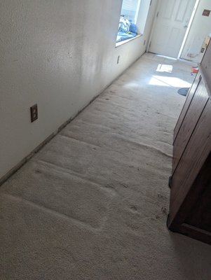 Complete Baseboard Installation - This was between 150-200 Linear feet of baseboards removed and installed.