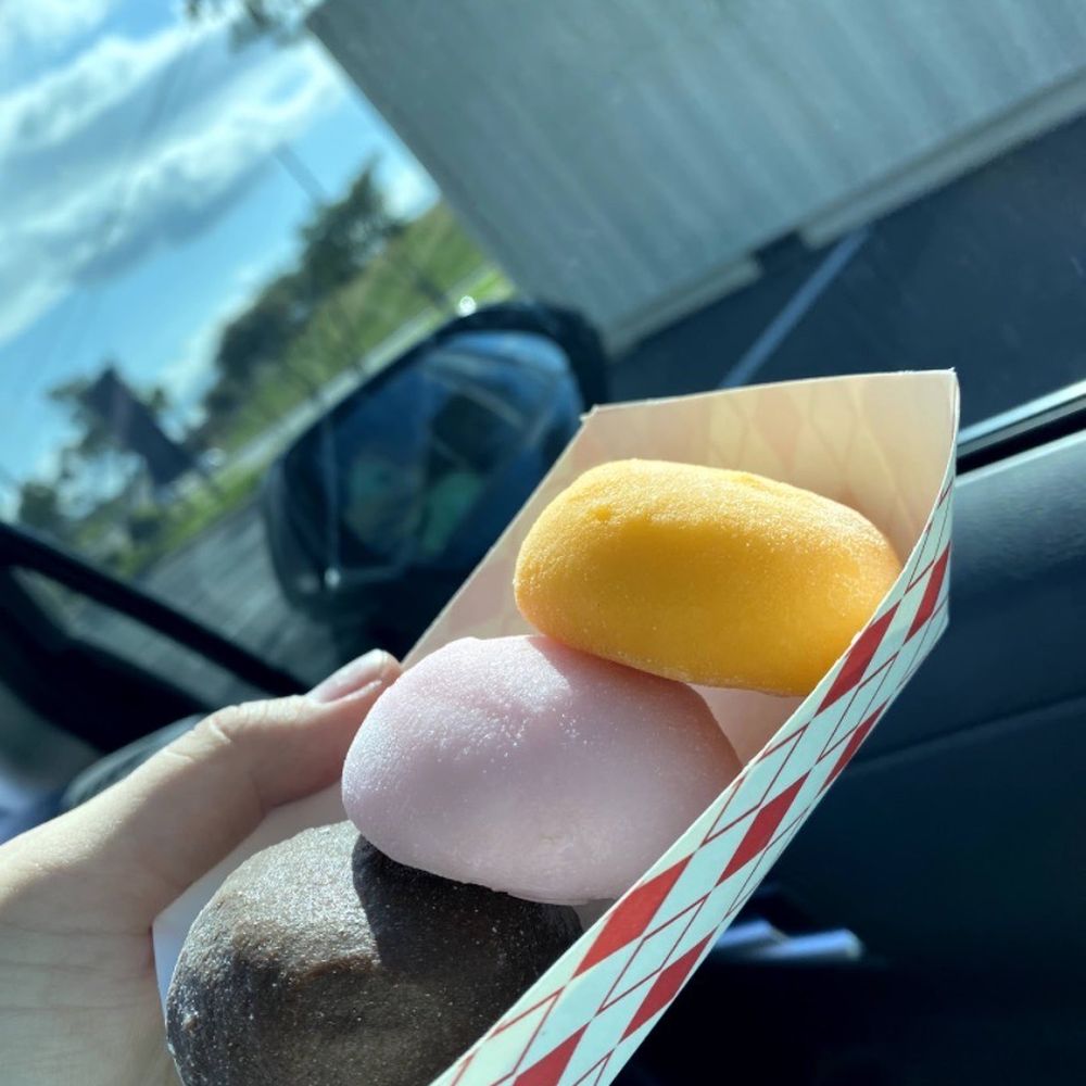 Tealicious Cafe - Mochi in a beautiful lighting - Bubble Tea Near Me - San Antonio, Texas