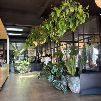 Freelance Coffee Project - interior + seating - Coffee & Tea Near Me - Newport Beach, California Freelance Coffee Project - interior + seating - Coffee & Tea Near Me - Newport Beach, California