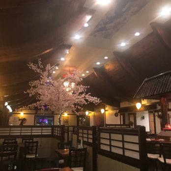 Osaka Steak House - Cherry Blossom tree - Sushi Bars Near Me - Clawson, Michigan Osaka Steak House - Cherry Blossom tree - Sushi Bars Near Me - Clawson, Michigan