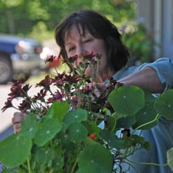 Moose Mountain Inn - Tending to the flowers!