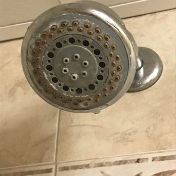 Quality Inn Oceanfront - Moldy shower head - Hotels Near Me - Ocean City, Maryland