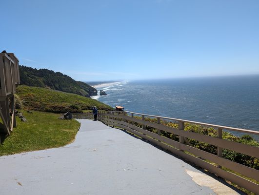 Sea Lion Caves by null