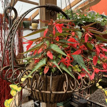 Nash's Garden Center - Nurseries & Gardening Near Me - Danielson, Connecticut Nash's Garden Center - Nurseries & Gardening Near Me - Danielson, Connecticut
