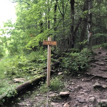 Milton Town Forest - Go right. Trust me. - Hiking Near Me - Milton, Vermont Milton Town Forest - Go right. Trust me. - Hiking Near Me - Milton, Vermont