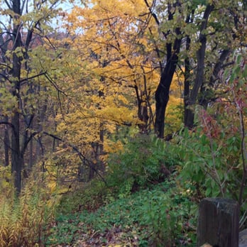 Fort Sheridan Forest Preserve - Autumn in the fort! - Parks Near Me - Lake Forest, Illinois Fort Sheridan Forest Preserve - Autumn in the fort! - Parks Near Me - Lake Forest, Illinois