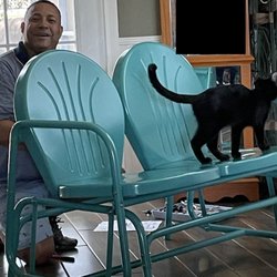 Monkey Painting and Services - Gee from Monkey Painting and Services putting together my dual glider (with the help of my cat, Poppy)!