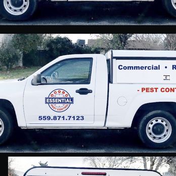 Essential Pest Control - Pest Control Near Me Essential Pest Control - Pest Control Near Me