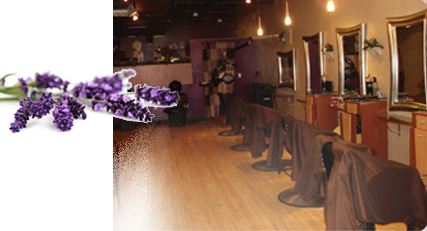 On the Edge Hair Design Logo
