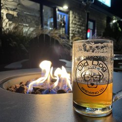 Old Dog Brewing