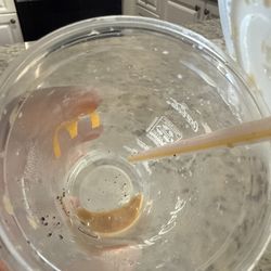 McDonald's - Just nasty