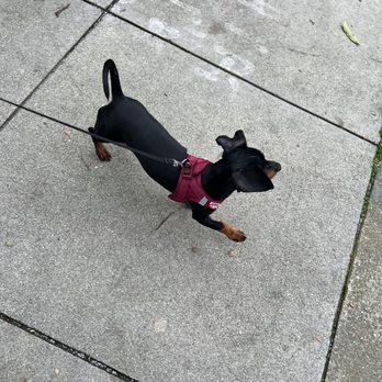 Animal House - Pet Stores Near Me - San Francisco, California