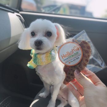 Hello Kim's Grooming - Thanks for the treats! - Pet Groomers Near Me - La Mirada, California