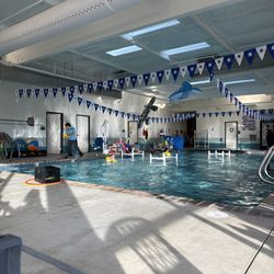 La Petite Baleen Swim School - La Petite Baleen Rohnert Park