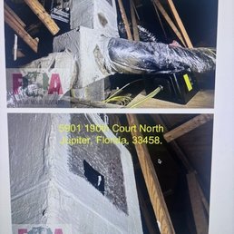 mold report from NEGLECT
