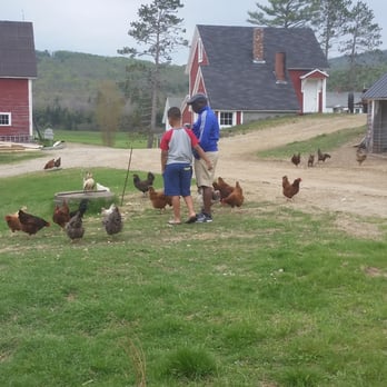 Pinestead Farm Lodge - Hotels Near Me - Franconia, New Hampshire Pinestead Farm Lodge - Hotels Near Me - Franconia, New Hampshire