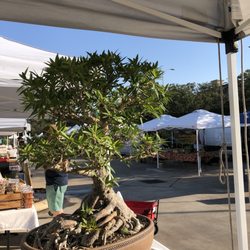 Urban Harvest Farmers Market - Urban Harvest Farmers Market