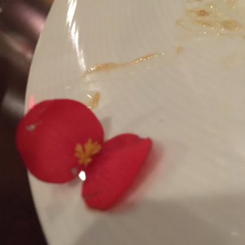 Il Palio Ristorante - Begonia garnish - Italian Near Me - Chapel Hill, North Carolina Il Palio Ristorante - Begonia garnish - Italian Near Me - Chapel Hill, North Carolina