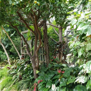 Centennial Park - At the conservatory - Parks Near Me - Etobicoke, Ontario