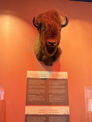 Fort Worth Museum of Science and History by null