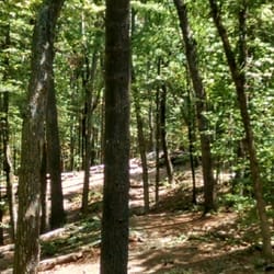 Hawk's Nest Disc Golf - The net is somewhere in front