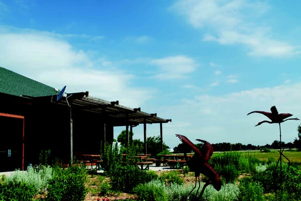 Crane Trust Nature & Visitor Center by null