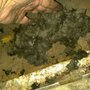 Photo of Artech Heating & Air