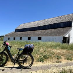 Petaluma Motor Wheel - E-bike Sales, Service and Rental - Love my Ebike from Petaluma Motor Wheel!