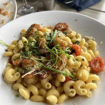 Coast - Pan Roasted Shrimp Cavatappi - Seafood Near Me - Hilton Head Island, South Carolina Coast - Pan Roasted Shrimp Cavatappi - Seafood Near Me - Hilton Head Island, South Carolina
