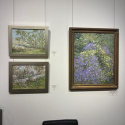 SNW Gallery & Custom Frames