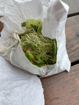 Sunflower Drive-In by null