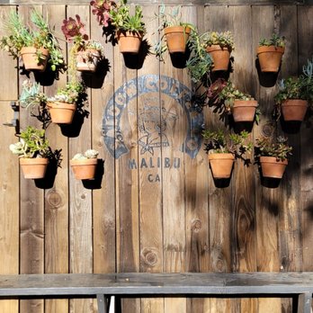 Saloon Coffee - a wooden bench with potted plants on it - Coffee & Tea Near Me - Malibu, California