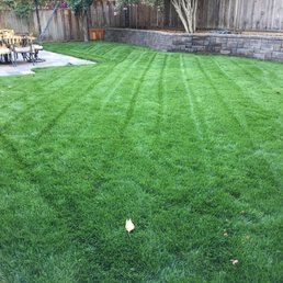 New lawn courtesy of Grass Farms New lawn courtesy of Grass Farms