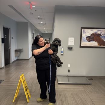 BluePearl Pet Hospital - Veterinarians Near Me - Paramus, New Jersey