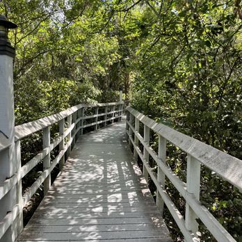 Fern Forest Nature Center - Parks Near Me - Coconut Creek, Florida