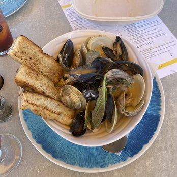 The Terrace Grille - Maine Coast Mussels & Clams - Seafood Near Me - Bar Harbor, Maine The Terrace Grille - Maine Coast Mussels & Clams - Seafood Near Me - Bar Harbor, Maine